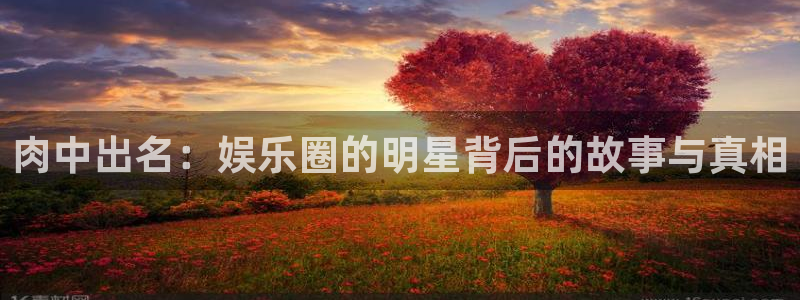 豪门国际官网：肉中出名：娱乐圈的明星背后的故事与真相