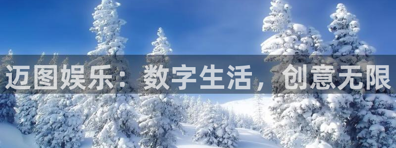豪门国际下载：迈图娱乐：数字生活，创意无限