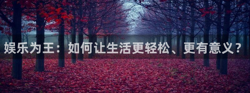 豪门国际网站：娱乐为王：如何让生活更轻松、更有意义？