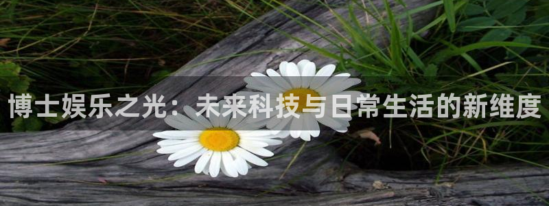 豪门国际怎么玩：博士娱乐之光：未来科技与日常生活的新维度