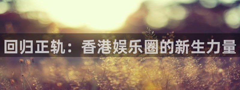 豪门国际怎么玩：回归正轨：香港娱乐圈的新生力量