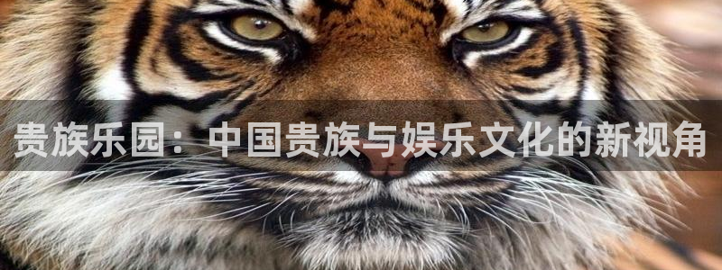豪门国际所有网站：贵族乐园：中国贵族与娱乐文化的新视角