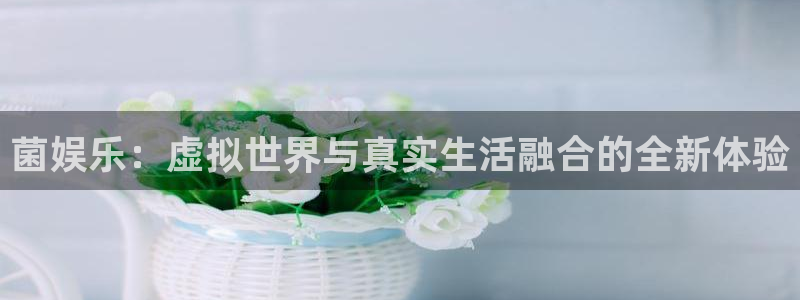 豪门国际平台：菌娱乐：虚拟世界与真实生活融合的全新体验