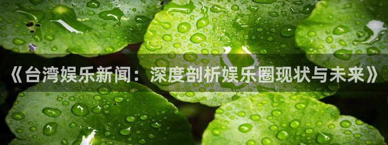 宁波豪门国际水会：《台湾娱乐新闻：深度剖析娱乐圈现状与未来》