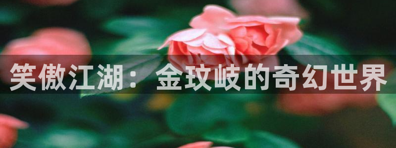 宁波豪门国际水会：笑傲江湖：金玟岐的奇幻世界