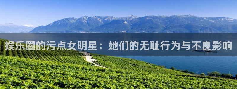 豪门国际怎么玩：娱乐圈的污点女明星：她们的无耻行为与不良影响