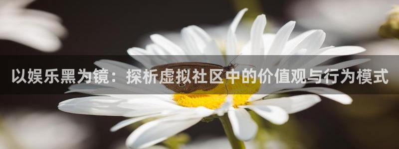 豪门国际pg：以娱乐黑为镜：探析虚拟社区中的价值观与行为模式