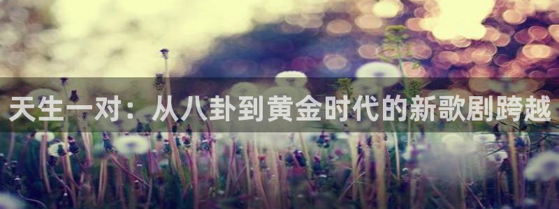豪门国际酒店：天生一对：从八卦到黄金时代的新歌剧跨越