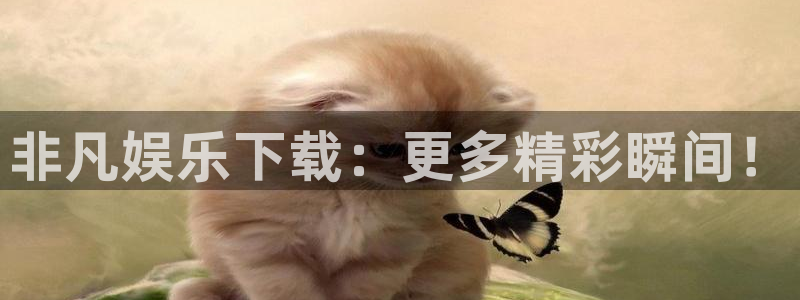 豪门国际怎么玩：非凡娱乐下载：更多精彩瞬间！
